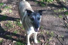 Balu, in Norfolk.