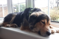 Louie, loving life!