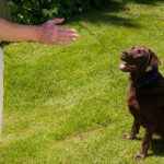 home-training-stay