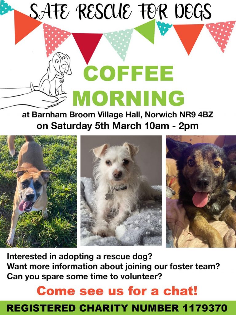 Safe Rescue Dogs Coffee Morning – 5th March