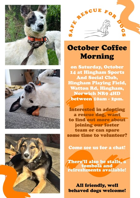 IMG_4949 Safe Rescue Dogs Coffee Morning - Saturday October 14th 2023