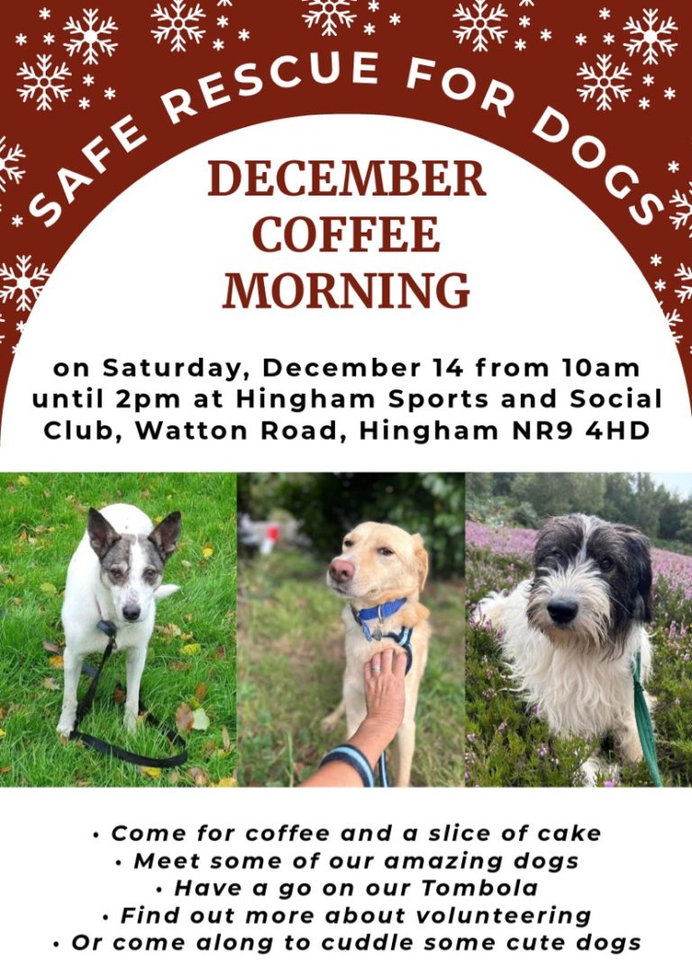 Safe Rescue for Dogs December Coffee Morning – Sat 14th December 2024