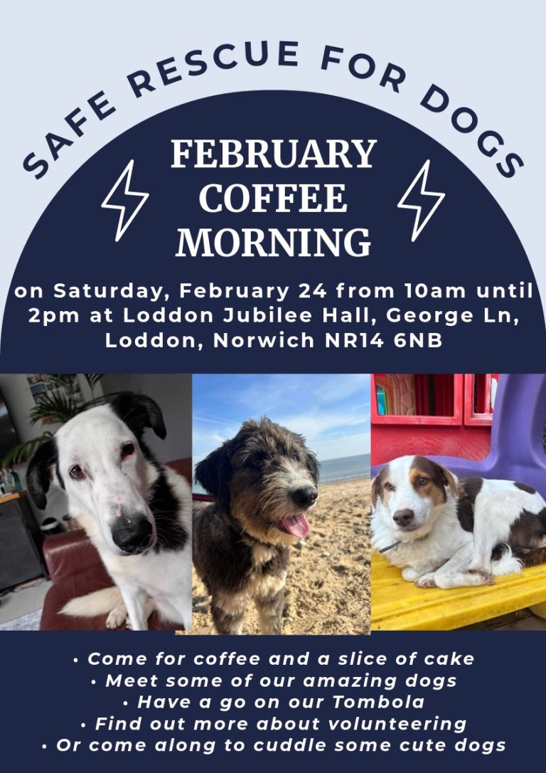 Safe Rescue for Dogs February Coffee Morning – Sat 4th Feb 2024