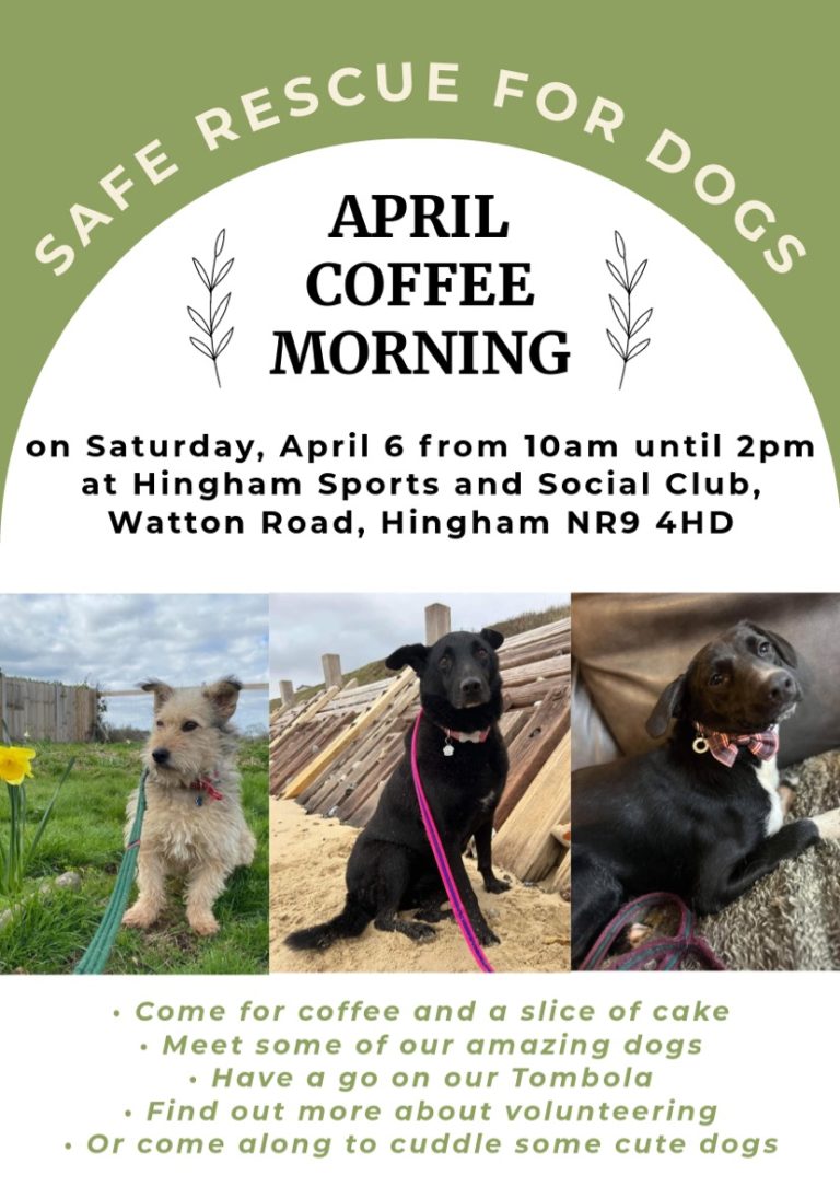 Safe Rescue for Dogs February Coffee Morning – Sat 6th April 2024