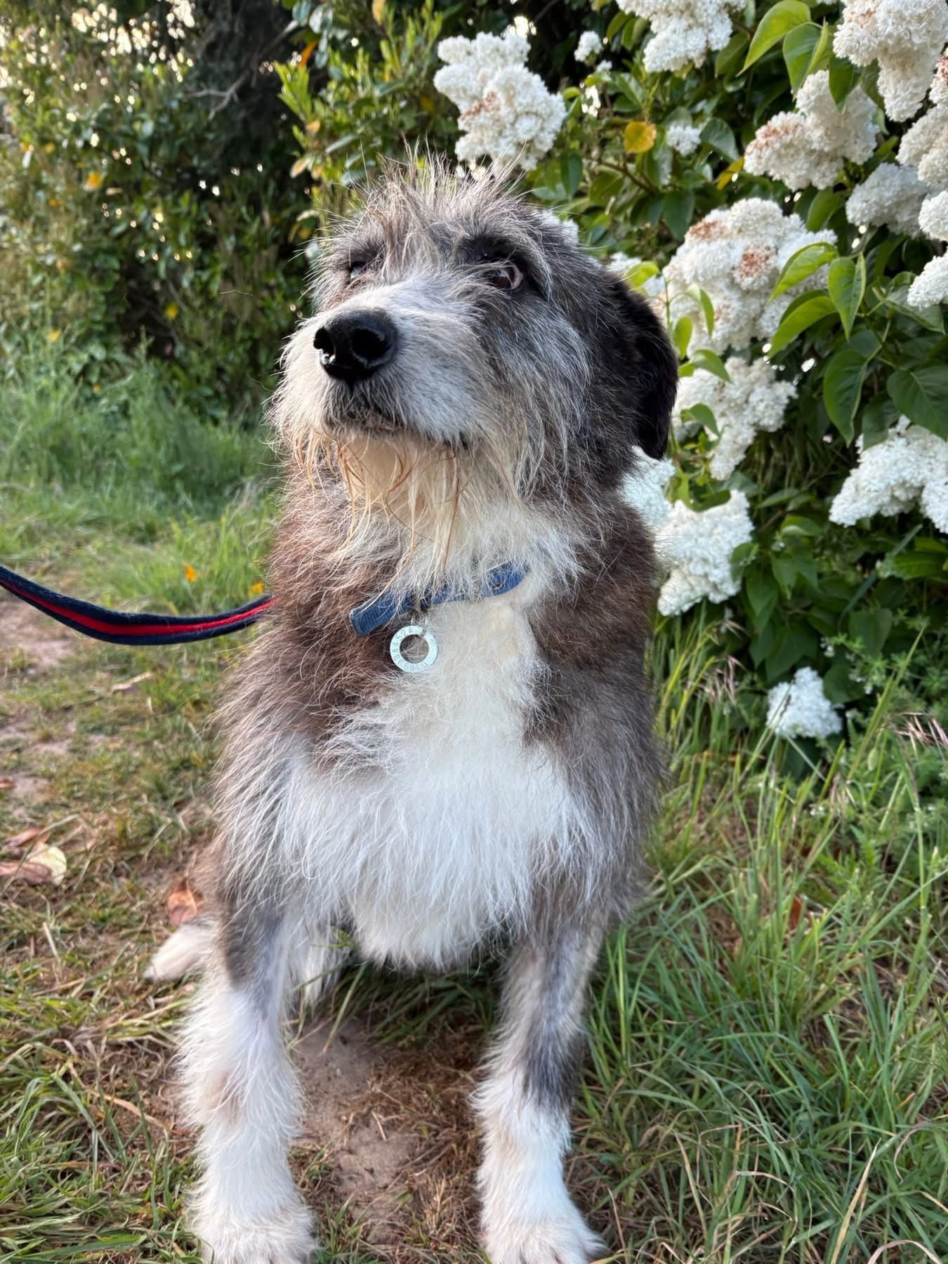 Duncan