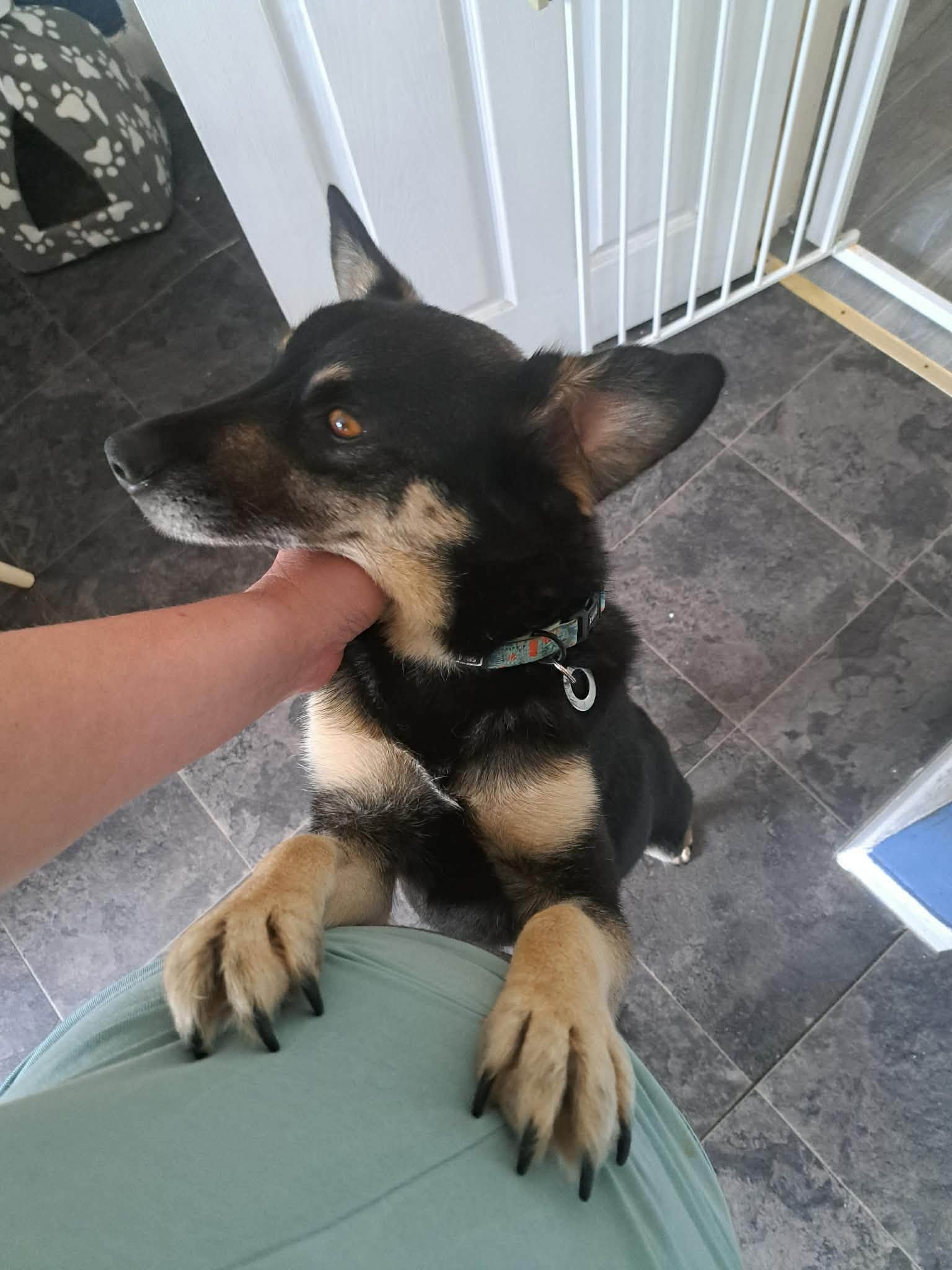 Rambo