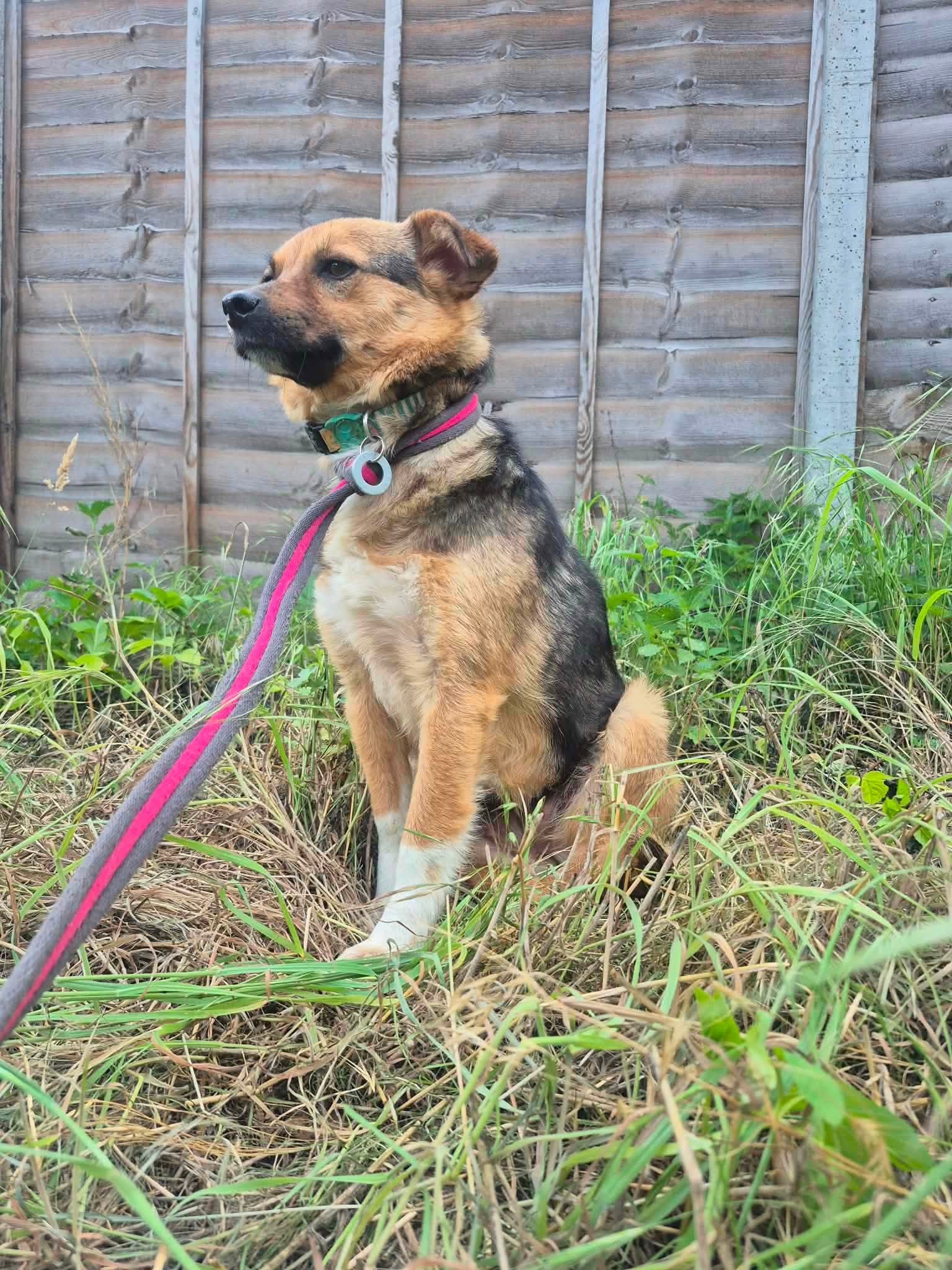Mandy - Image 9