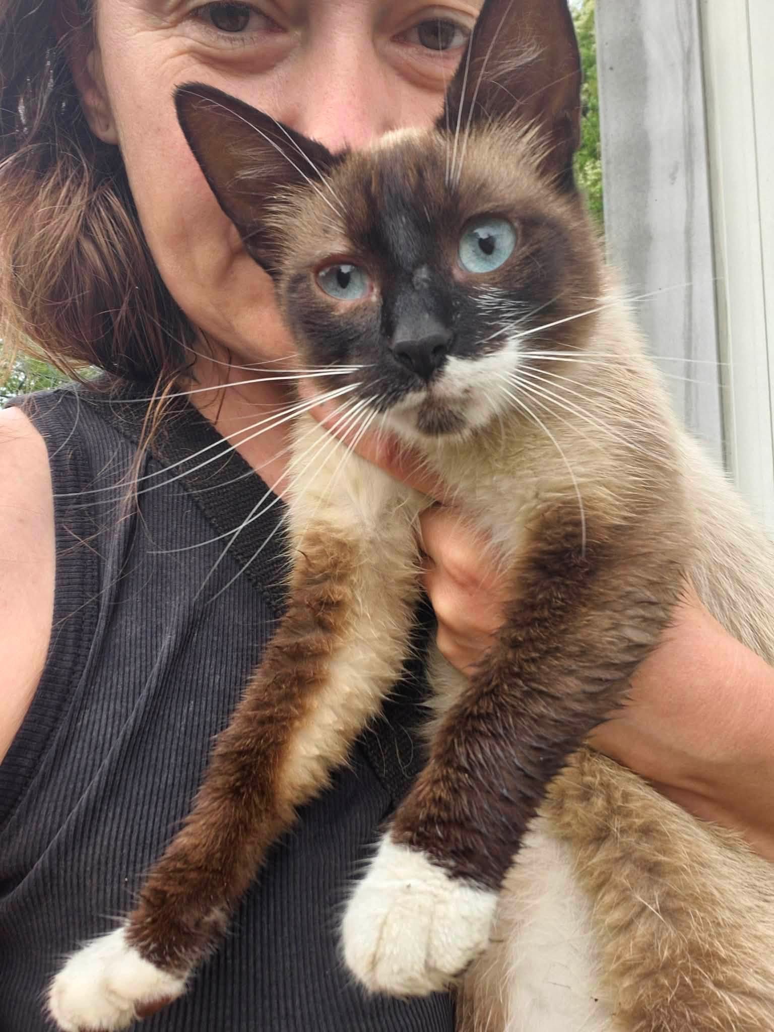 Nala